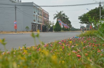 Cần tiền bán gấp đất gần chợ Bình Chánh 390tr/nền