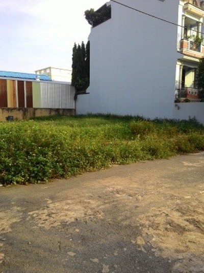 Đất Bình Chánh, sổ hồng chính chủ, giá rẻ 295 tr/ nền