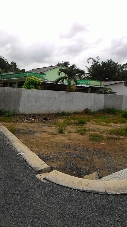 Đất lô góc Bình Chánh, đường Trần Văn Giàu 195 tr/ nền