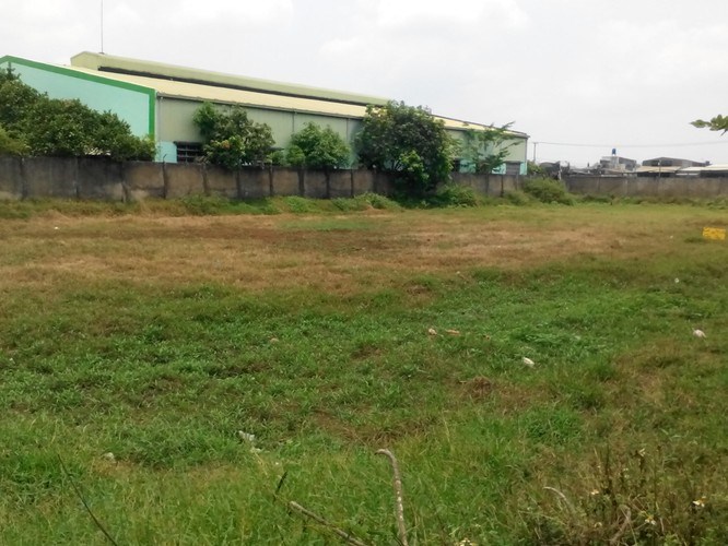 Bán đất xưởng 1000m2, mặt tiền đường Nguyễn Văn Bứa nối dài.