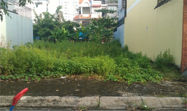 Đất mặt tiền sông Sài Gòn Hiệp Bình Chánh quận Thủ Đức