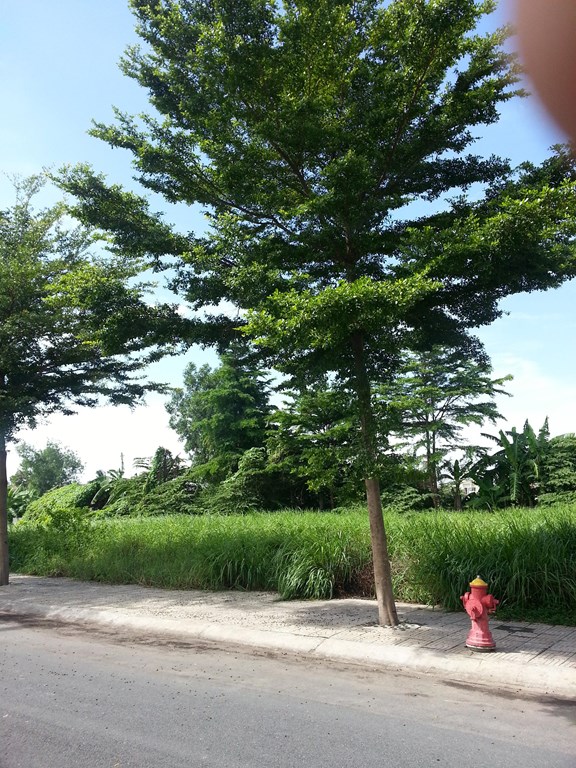 Đất diện tích lớn xây biệt thự làm công ty gần Phạm Văn Đồng