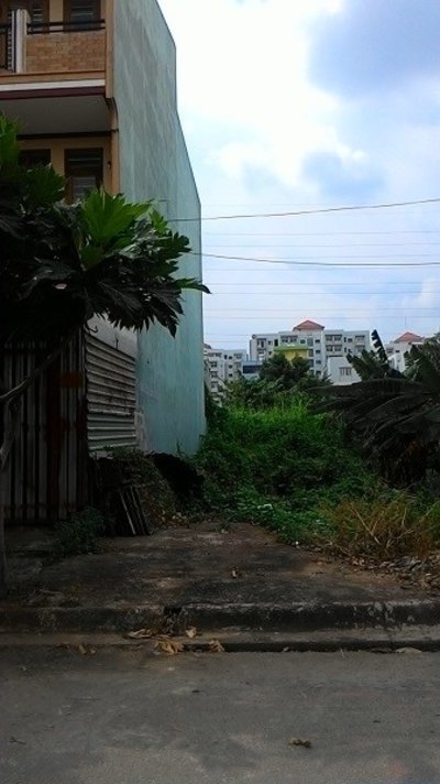 Đất thị trấn Tân Túc, đường Bùi Thanh Khiết, 395 tr/ nền