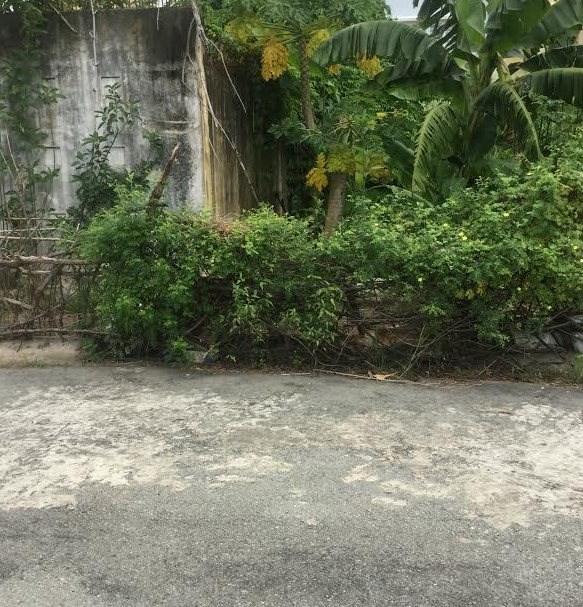 Bán đất đường 19, phường Hiệp Bình Chánh, Quận Thủ Đức