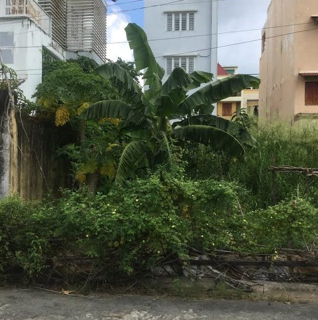 Đất nền biệt thự ven sông KDC Phú Nhuận P. Hiệp Bình Chánh kề Bình Lợi