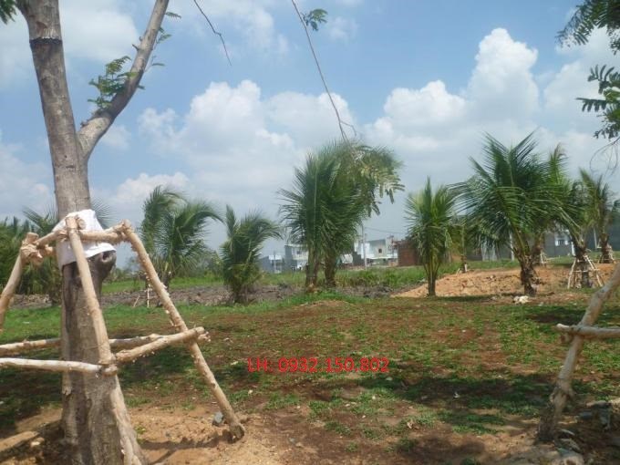 Sở hữu ngay nền 350triệu, KDC Làng Đại Học mới quận 9 An cư hôm nay