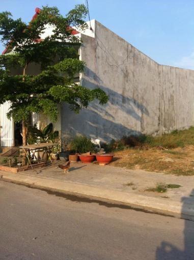 Đất nền mặt tiền chợ đầu mối, giá 250tr/nền – SHR