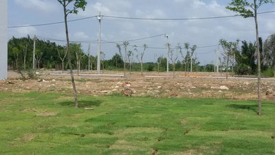 Cần bán đất sổ hồng riềng, phường long trường, q 9