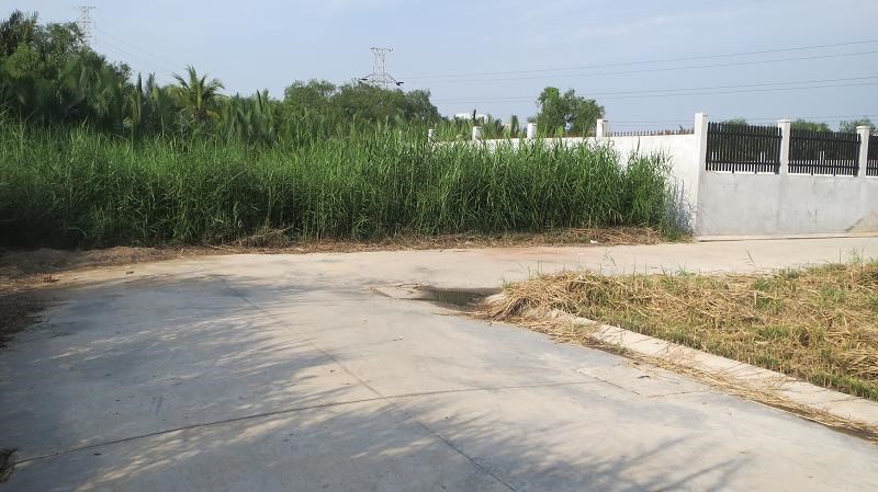 Đất thổ cưchính chủ Nguyễn Văn Tạo - Nhà Bè.