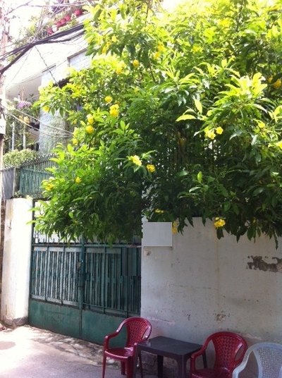 Bán nhà riêng tại Đường Lê Văn Sỹ, Tân Bình, Tp.HCM diện tích 166m2