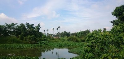 Bán đất nền Quận 12 giá rẻ, sổ riêng,phường Thạnh Lộc 29