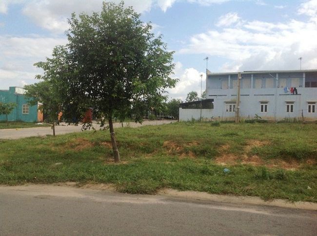 Bán gấp đất thổ cư Bình Chánh 250m2 giá 500 triệu