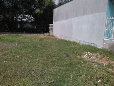 Đất thổ cư xây dựng ngay, giá 280 triệu, DT 40 m2