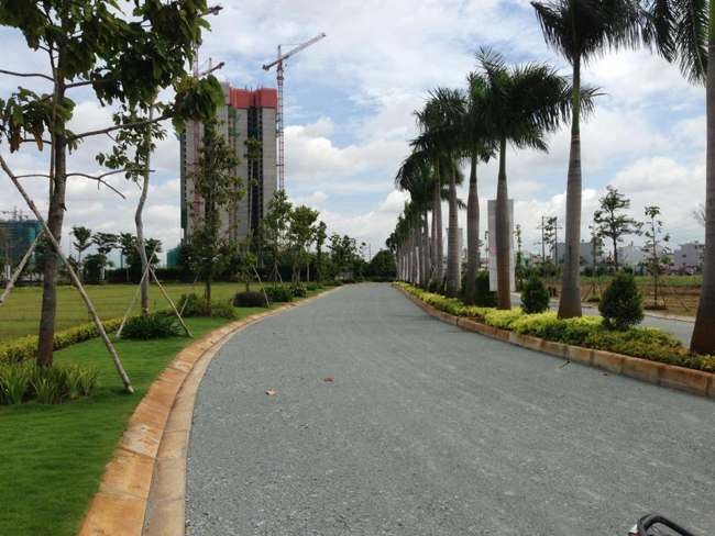 Bán Đất Nền Biệt Thự Phú Mỹ Hưng, Giá Chỉ 5,5 Tỷ/ Căn, Ck10%