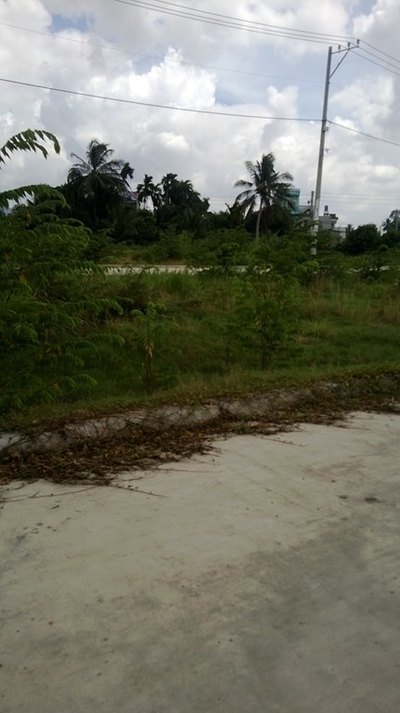 Chiếc Khấu 2% Cho Mỗi Lô Đất Q.12 Giá 9tr/M2