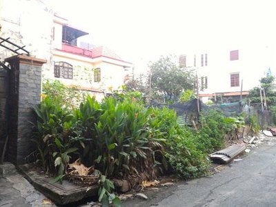 Bán đất xây nhà phố, biệt thự hẻm 496 Dương Quảng Hàm, Gò Vấp, TPHCM