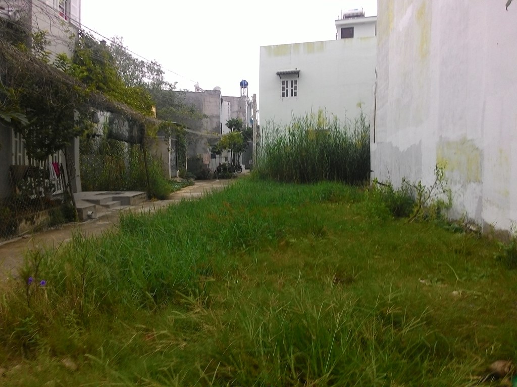 Nợ ngân hàng bán gấp 416 m2 đất thổ cư giá 2,6 tỷ đg.Nguyễn Văn Tạo Nhà Bè