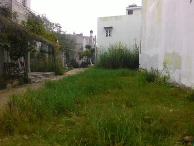 Cần tiền bán sang tay ngay 126m2 đất thổ cư đường Lê Văn Lương ngang 19m