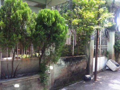 Cần bán gấp nhà củ và đất ở đường Nguyễn Văn Bá, P.trường thọ, Q. Thủ Đức