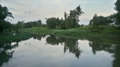 Mở Bán KĐT Sinh Thái Sông Quê 2. Tại Q.12, Gần CĐ Điện Lực.