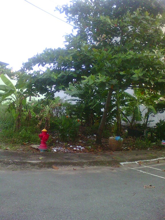 Đất nền nhà phố 6x22,5 KDC đường 25 ven sông P.Hiệp Bình Chánh, Thủ Đức