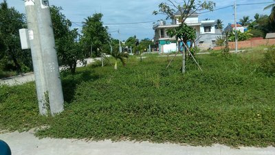 Đất Nền Thổ Cư Giá Rẻ ,Hà Huy Giáp, Quận 12