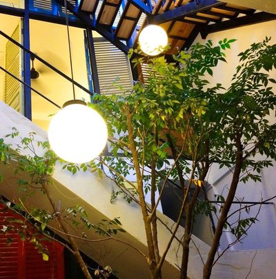 Xuất cảnh cần bán gấp nhà 3 lầu MT Nguyễn Văn Thủ góc Mạc Đĩnh Chi.