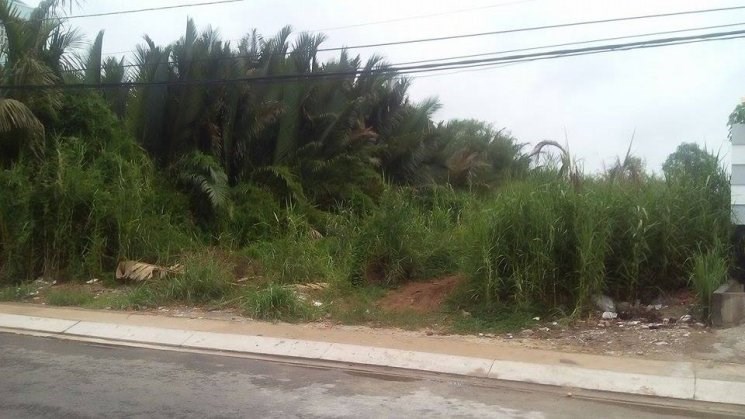 Bán đất 160m2 MT đường đào sư tích nhà bè 2,1 tỷ