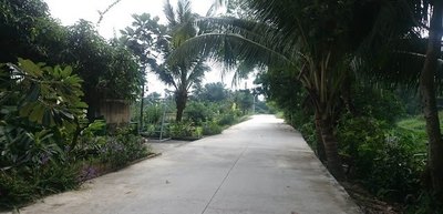 Bán Đất Giá Rẻ 580 Triệu Đường Tl 29, Gần Đường Hà Huy Giáp, Quận 12