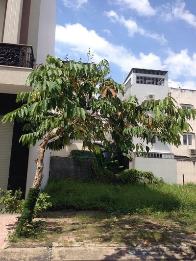 Cực Sốc!!! Đất Hóc Môn mặt tiền đường Nguyễn Văn Bứa giá chỉ 150 tr / nền.