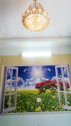 Bán nhà tuyệt đẹp 4x16m, 1 trệt 1 lầu, giá 1.65 tỷ, hẻm 1135 Huỳnh Tấn Phát
