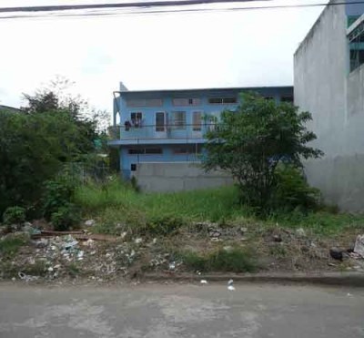 Bán Lô Đất 80m2 Giá 295 Triệu Sổ Hồng Riêng Bình Chánh