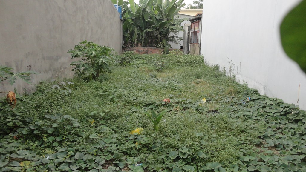 Bán đất đường 22 Phước Long B 1,85 tỷ /100 m 2