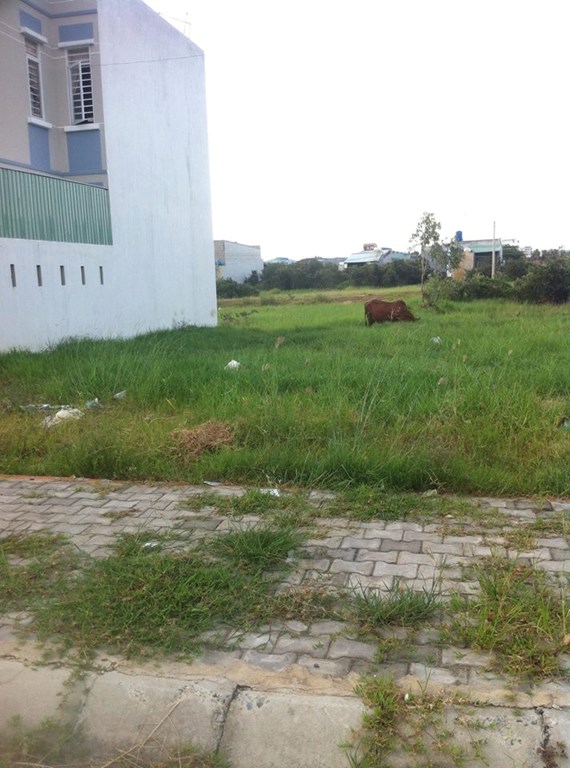 Đất Bán Hóc Môn 79m2- Giá 750tr - SHR chính chủ.