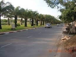 Đất Bán Hóc Môn 79m2- Giá 750tr - SHR chính chủ.