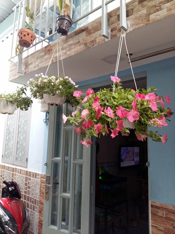 Bán nhà đường số 8 Quận Gò Vấp giá 500 triệu