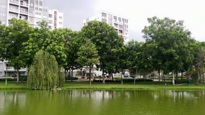 An cư cùng Celadon City Tân Phú ( 1.62 tỷ )