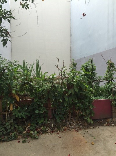 Đất đường 19 HBC: 4x15m giá 1.65 tỷ, sang tên ngay, xây nhà liền