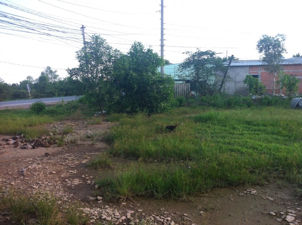 Đất xây cây xăng,xây ga ra.xây xưởng,...