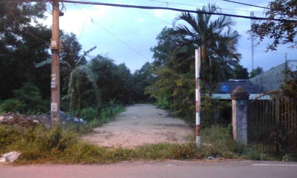 Đất mặt tiền đường nhụa 6x50m = 300m2- thổ cư, sổ riêng, xây dưng ngay