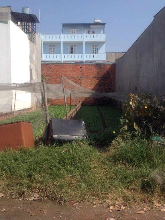 Bán đất 4x20 m giá 1.2 tỷ HXH đường HT44, P.HT, Quận 12