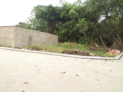 Lô đất Thạnh Lộc 22 – Hà Huy Giáp, 5 x 12m