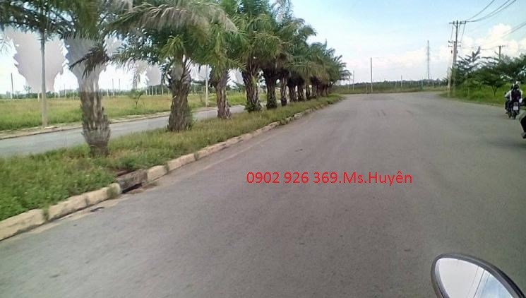 Đất thổ cư- Lk Bình Chánh, 295 triệu /Nền Trả Góp 12 Tháng, Ck 5%