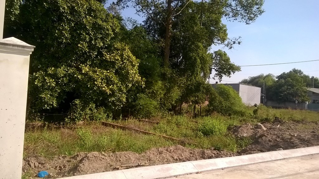 Bán đất xây nhà trọ, liền kề MT Võ Văn Hát chỉ 11,5 tr/m2, sổ hồng, XDTD