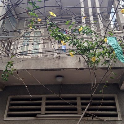 Bán Gấp căn góc 2 MT hẻm 4m Cống Quỳnh-Q1 5.9 tỷ/TL