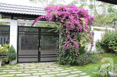 Bán nhà HXH 6m đường Lê Văn Sỹ, Q3, P14, DT 84 m2