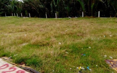 Bán đất đường 160, Phường Tăng Nhơn Phú A, Q.9
