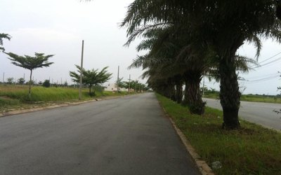 Bán gấp lô đất đường Trần Văn Giàu, SHR. DT: 125m2