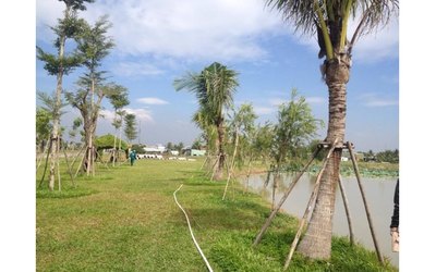 Cần bán lô đất 5x20m,Giá 700tr,gần chợ Bình Chánh