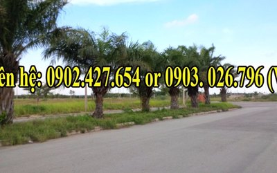 Đất nền bình chánh, giá rẻ, xây dựng tự do